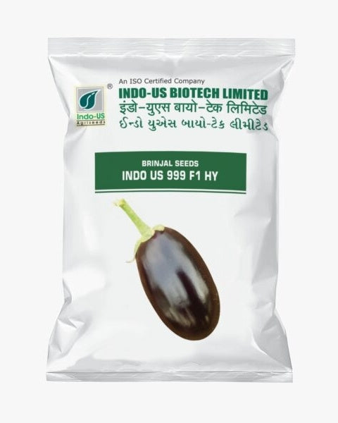 INDO US BRINJAL 999 F1 HY