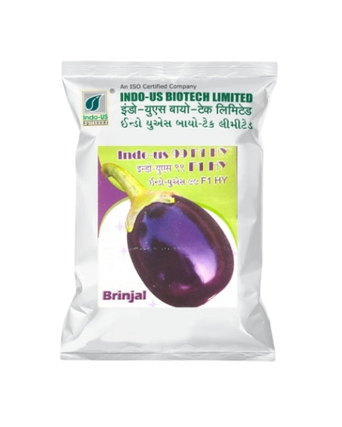 INDO US BRINJAL 99 F1 HY