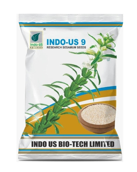 INDO US 9 SESAMUM