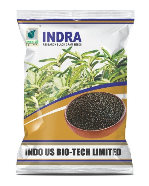 INDO US BLACK GRAM INDRA