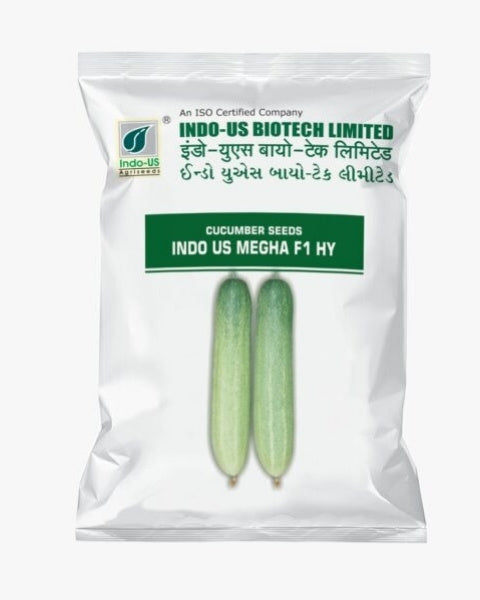 INDO US CUCUMBER MEGHA F1 HY