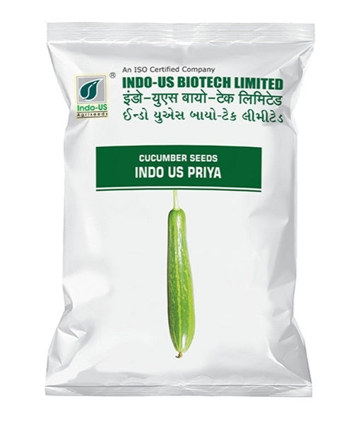 INDO US CUCUMBER PRIYA OP