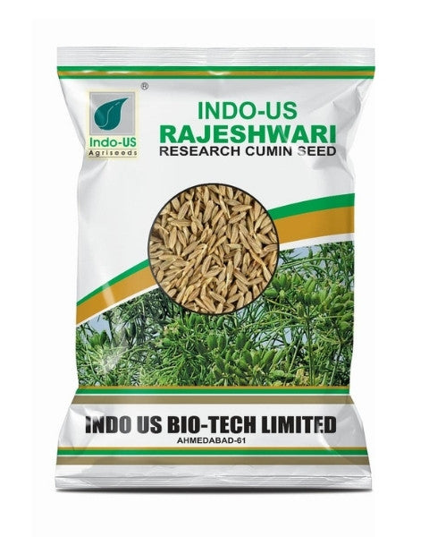 INDO US RAJESHWARI CUMIN SEED