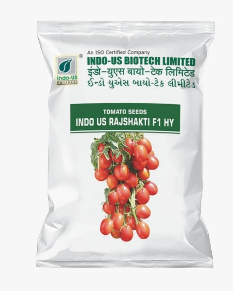 INDO US TOMATO RAJSHAKATI F1 HY