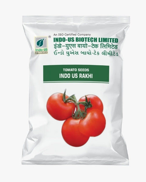 INDO US TOMATO RAKHI OP