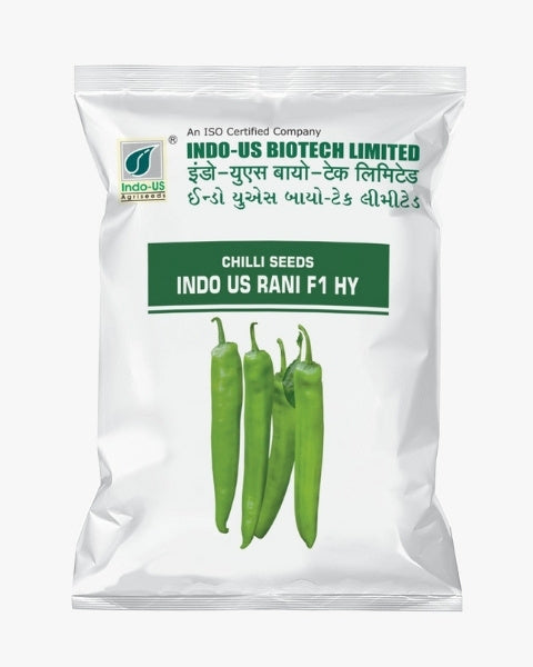 INDO US CHILLI RANI F1 HY