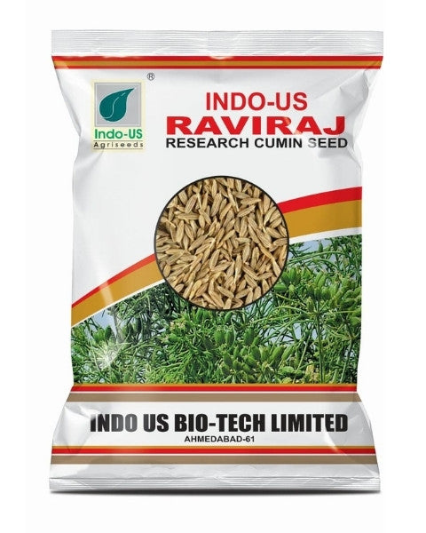 INDO US CUMIN RAVIRAJ SEED