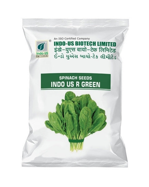 INDO US SPINACH R GREEN