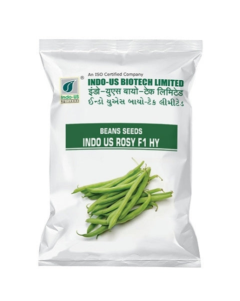 INDO US BEANS ROSY F1 HY