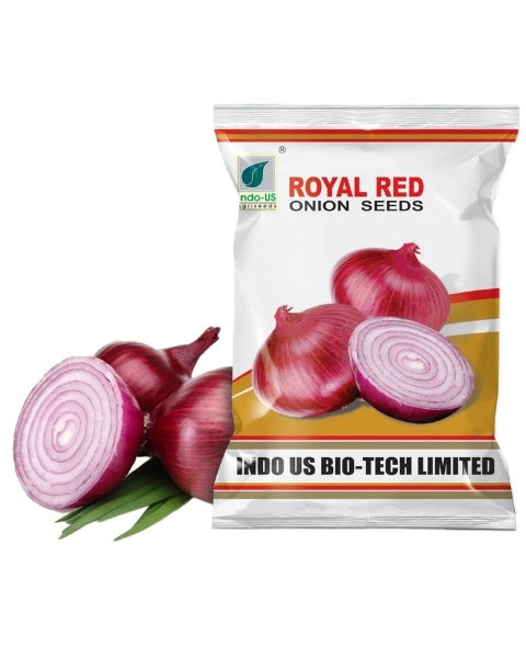 INDO US ONION ROYAL RED