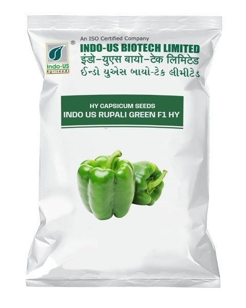 INDO US CAPSICUM RUPALI GREEN F1 HY