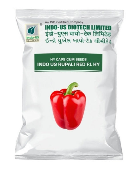 INDO US CAPSICUM RUPALI RED F1 HY