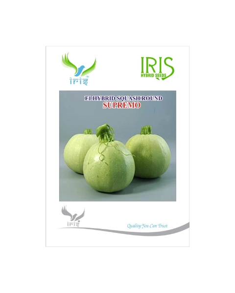 IRIS HYBRID F1 SUPREMO SQUASH ROUND