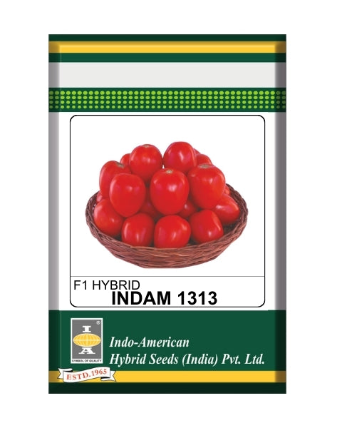 Indam 1313 Tomato Seeds