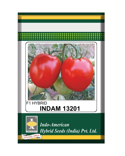 Indam 13201 Tomato Seeds