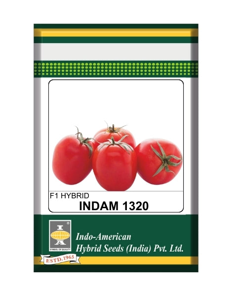 Indam 1320 Tomato Seeds