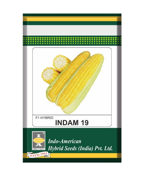 Indam 19 Sweetcorn Seeds