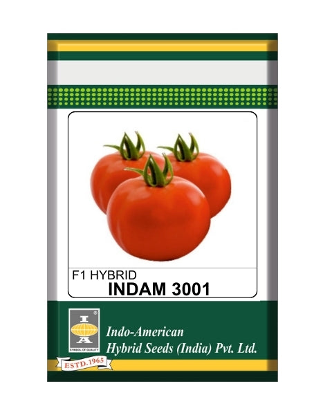 Indam 3001 Tomato Seeds