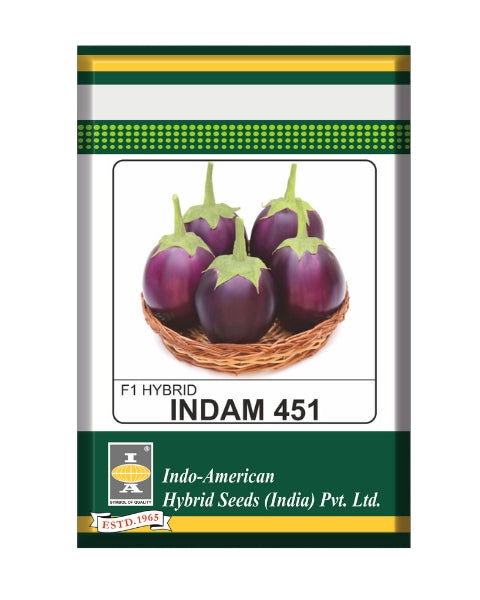 Indam 451 Brinjal Seeds