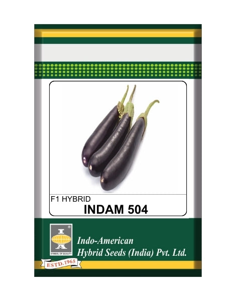 Indam 504 Brinjal Seeds