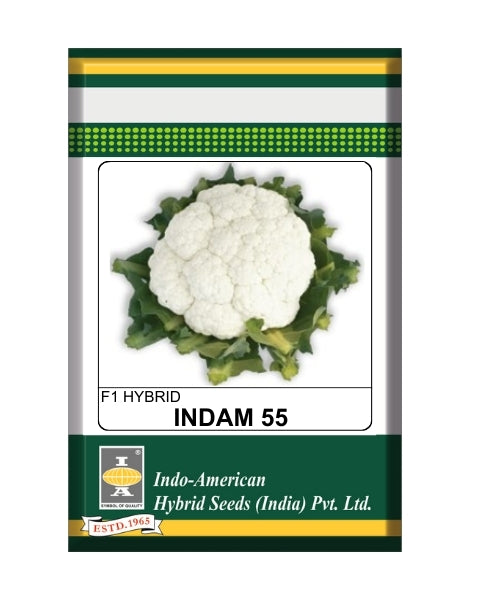 Indam 55 Cauliflower Seeds