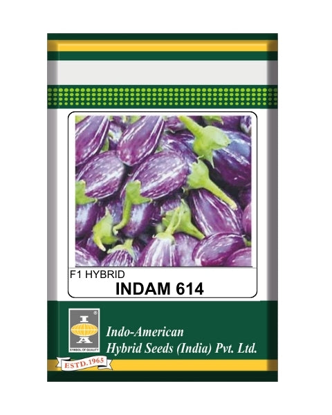 Indam 614 Brinjal Seeds