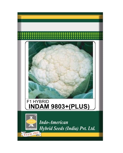 Indam 9803 Plus Cauliflower Seeds