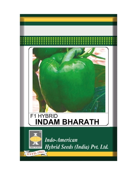 Indam Bharath Capsicum Seeds