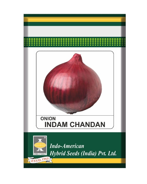 Indam Chandan Onion Seeds