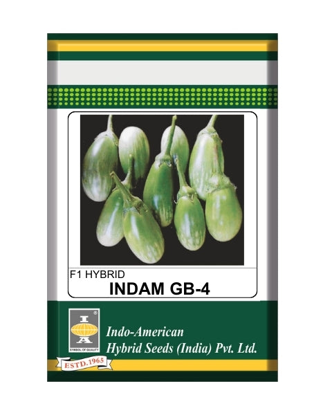 Indam Gb-4 Brinjal Seeds