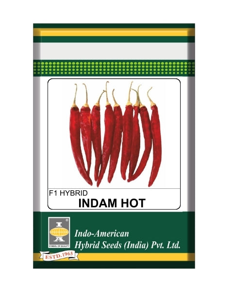 Indam Hot Star Chilli Seeds