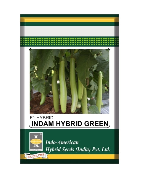 Indam Hybrid Green Brinjal Seeds