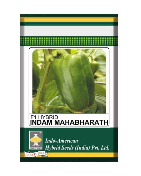 Indam Mahabharat Capsicum Seeds