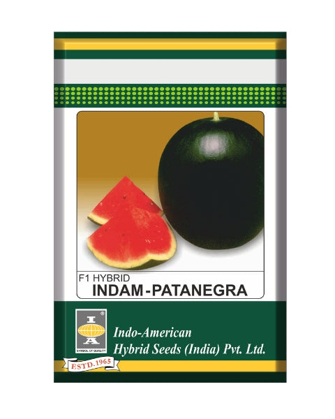 Indam Patanegra Watermelon Seeds