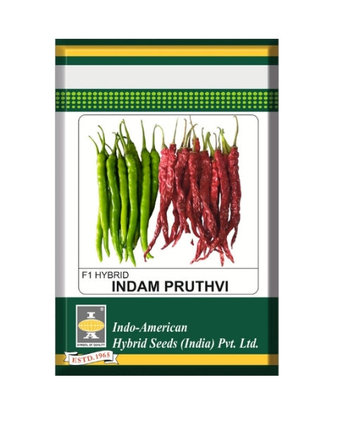 Indam Pruthvi Chilli Seeds