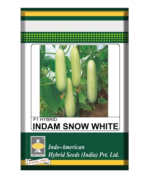 Indam Snow White Cucumber Seeds