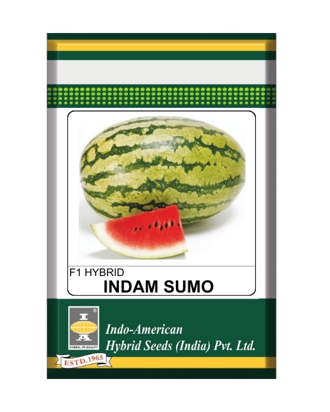 Indam Sumo Watermelon Seeds