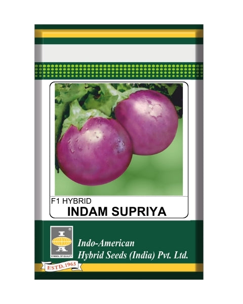 Indam Supriya Brinjal Seeds