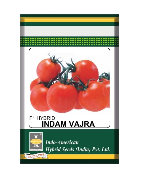 Indam Vajra Tomato Seeds