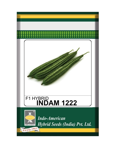 Indam 1222 Ridgegourd Seeds