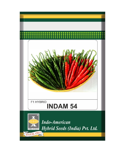 Indam 54 Chilli Seeds