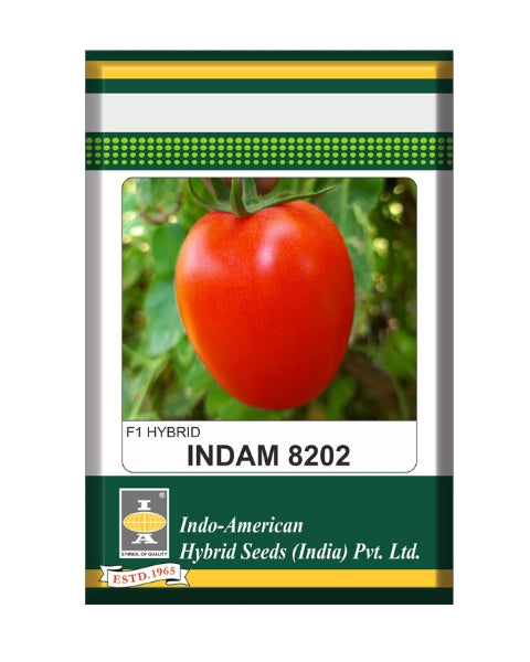 Indam 8202 Tomato Seeds