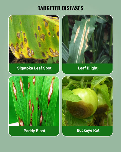 Indofil M-45 Fungicide