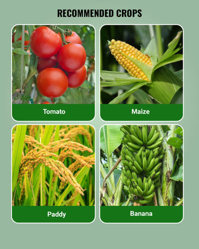 Indofil M-45 Fungicide