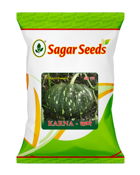 Sagar KARNA F1 Pumpkin