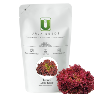 URJA LOLLA RED - LETTUCE SEEDS