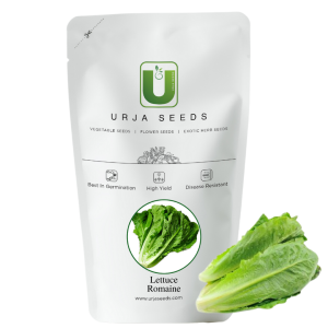 URJA ROMAIN LETTUCE SEEDS