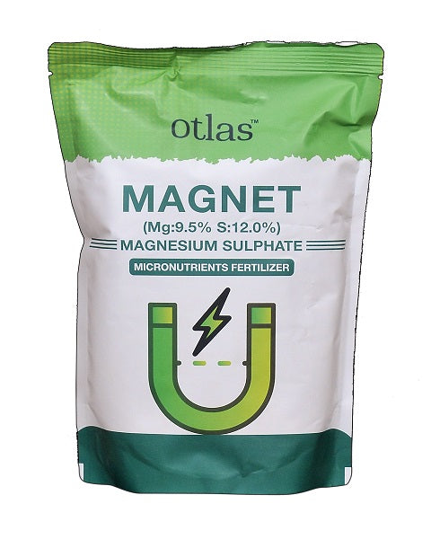 OTLAS MAGNESIUM SULPHATE