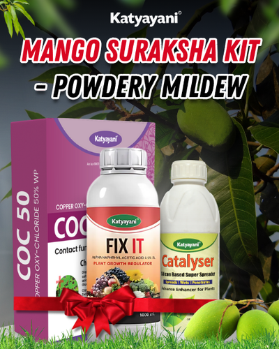 KATYAYANI MANGO SURAKSHA KIT - POWDERY MILDEW