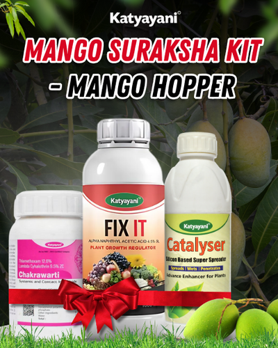 KATYAYANI MANGO SURAKSHA KIT - MANGO HOPPER